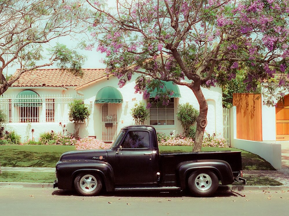 561573564 18070051448225794 9126841132632869253 n