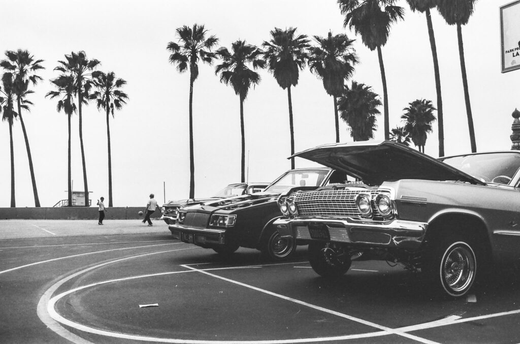 or venice 1