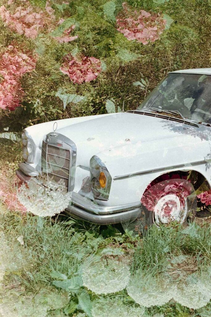 fuji superia 200 (expired) 02