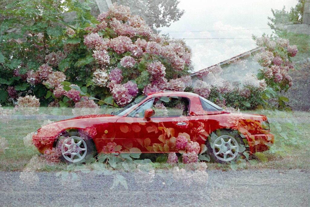 fuji superia 200 (expired) 03
