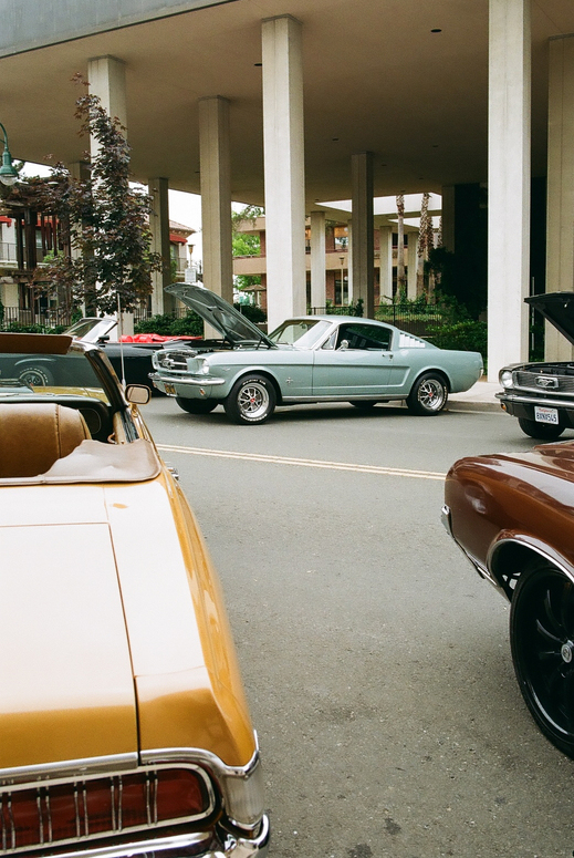 Bryan Van Veldhuizen Interview fuji200n80stang